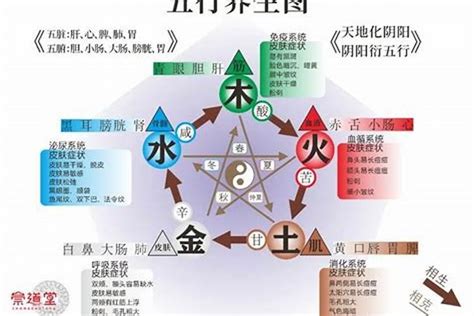 五行缺金缺水